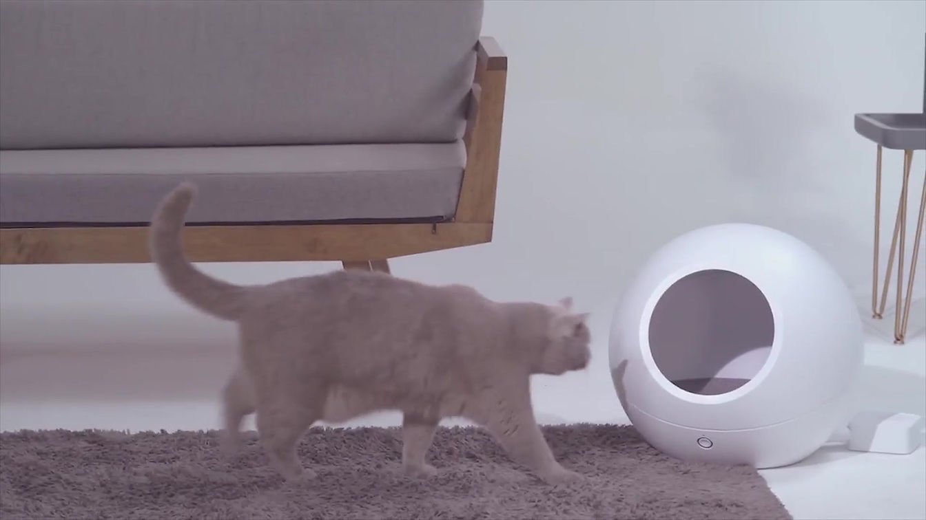 Cozy - Smart Pet home